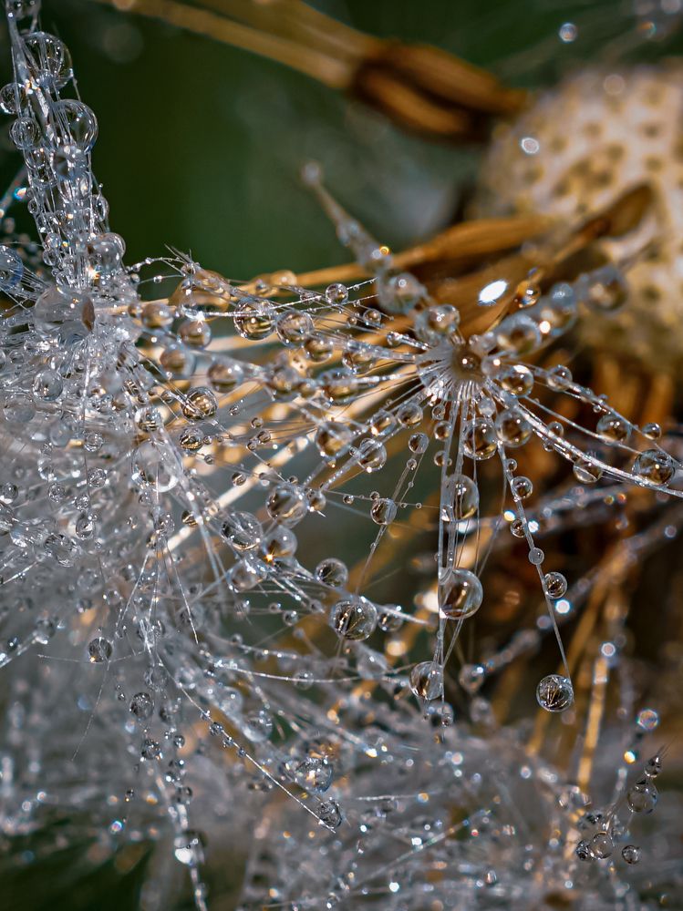 Photograph by Сергей Анатольевич