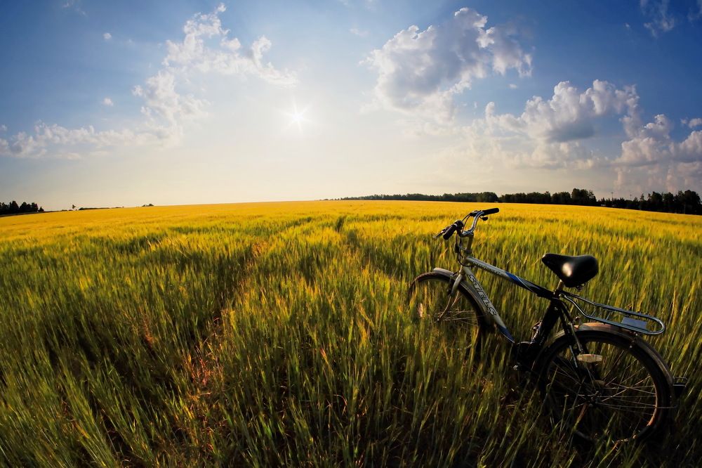 Фотография автора Юрий Кольцов