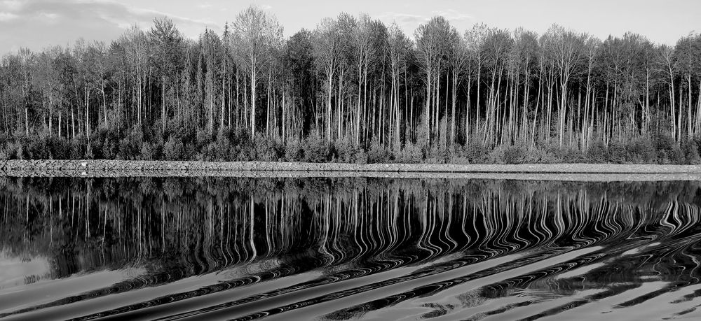 Photograph by Владимир Еремин