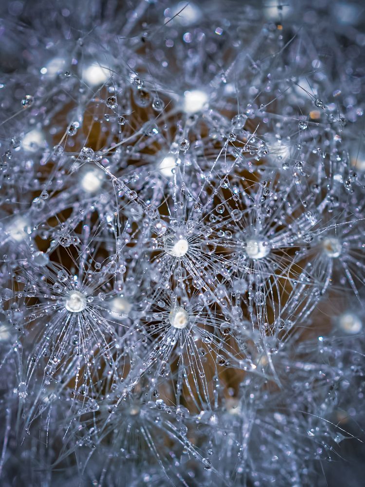 Photograph by Сергей Анатольевич