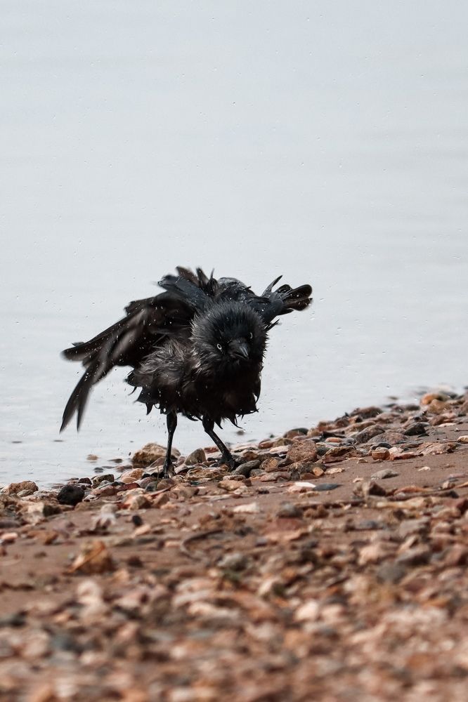 Photograph by Хельга Кольцова