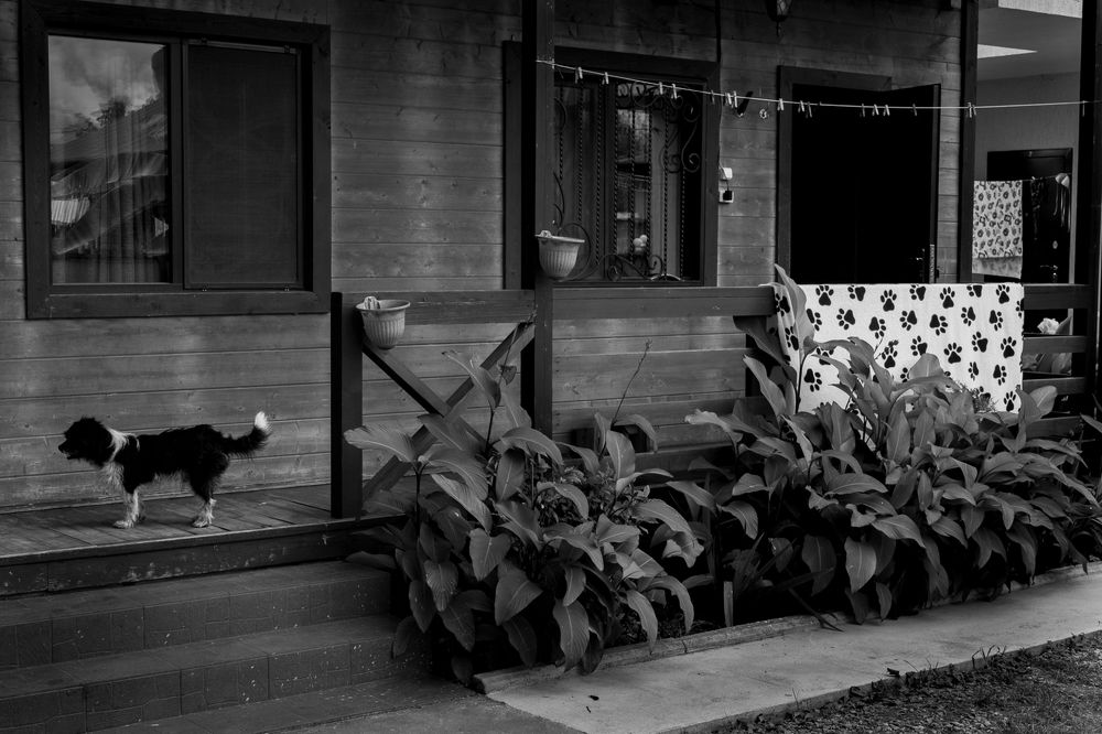 Photograph by Андрей Борисенко