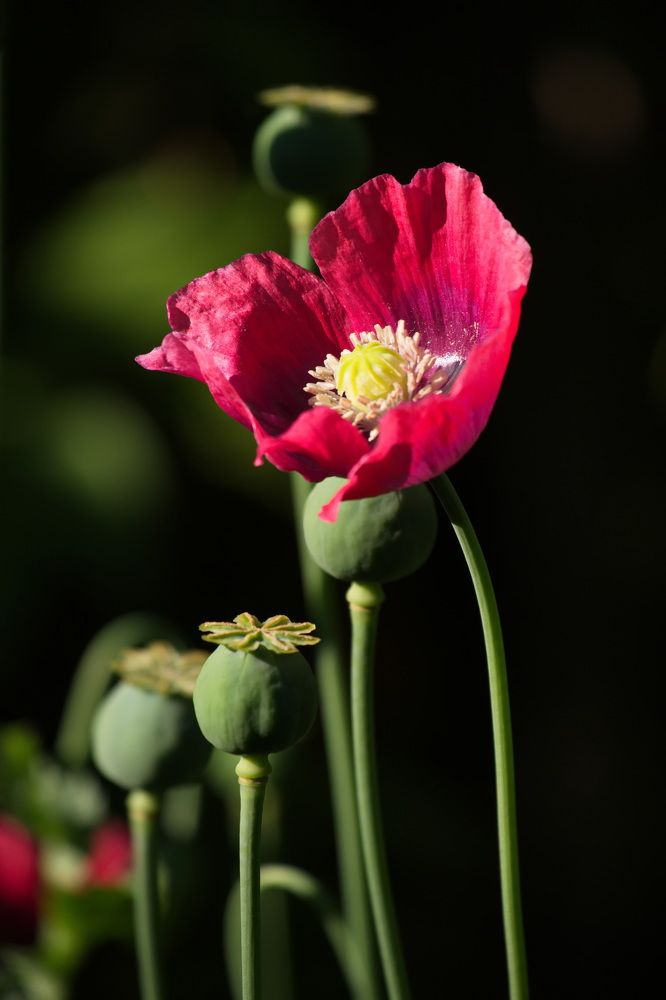 Фотография автора Юрий Кольцов