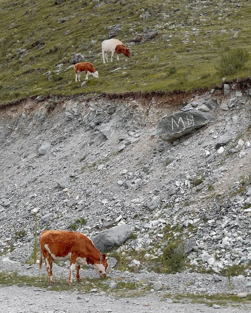 Photograph by Андрей Казаков