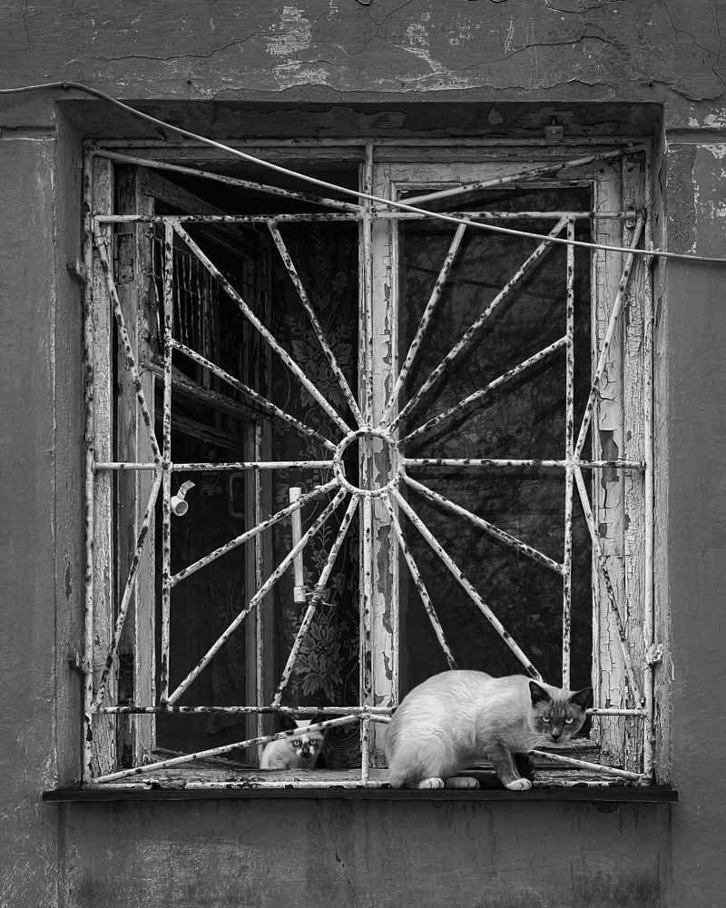 Photograph by Андрей Казаков