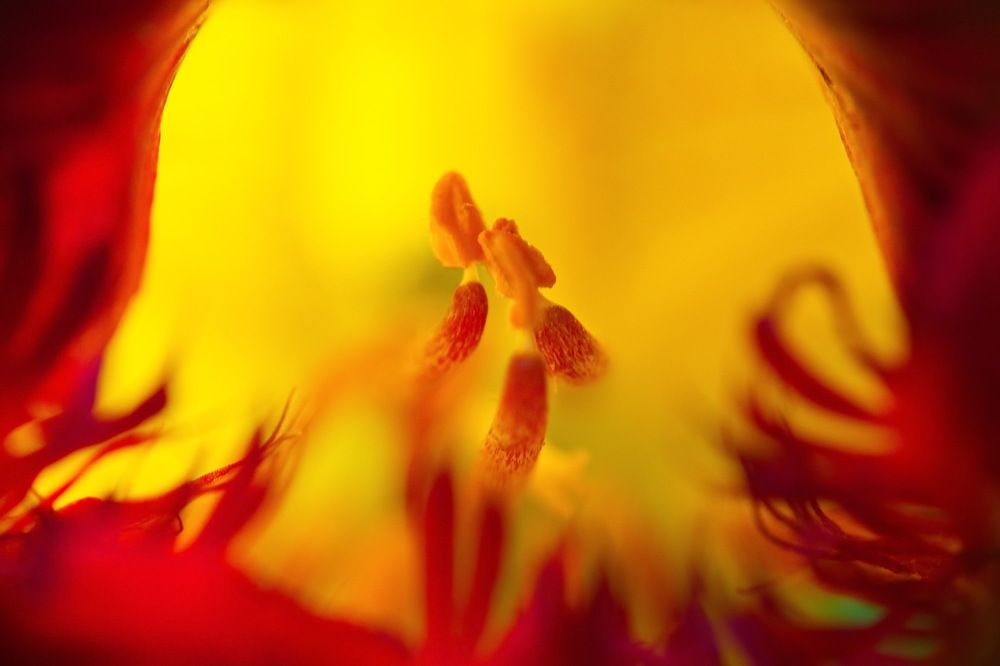 Фотография автора Юрий Кольцов