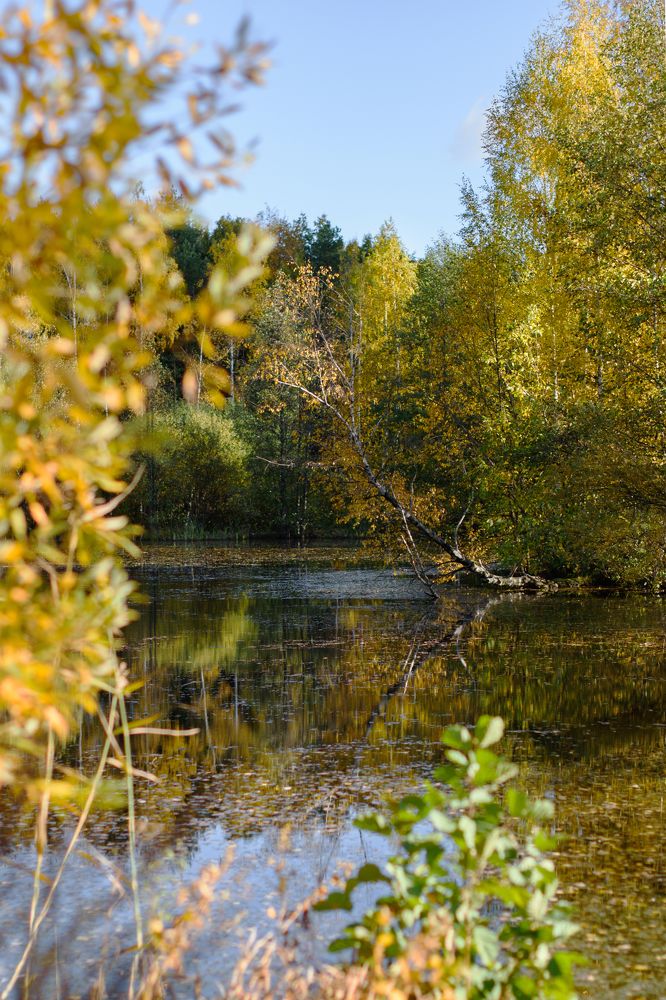 Photograph by Мария Конюхова