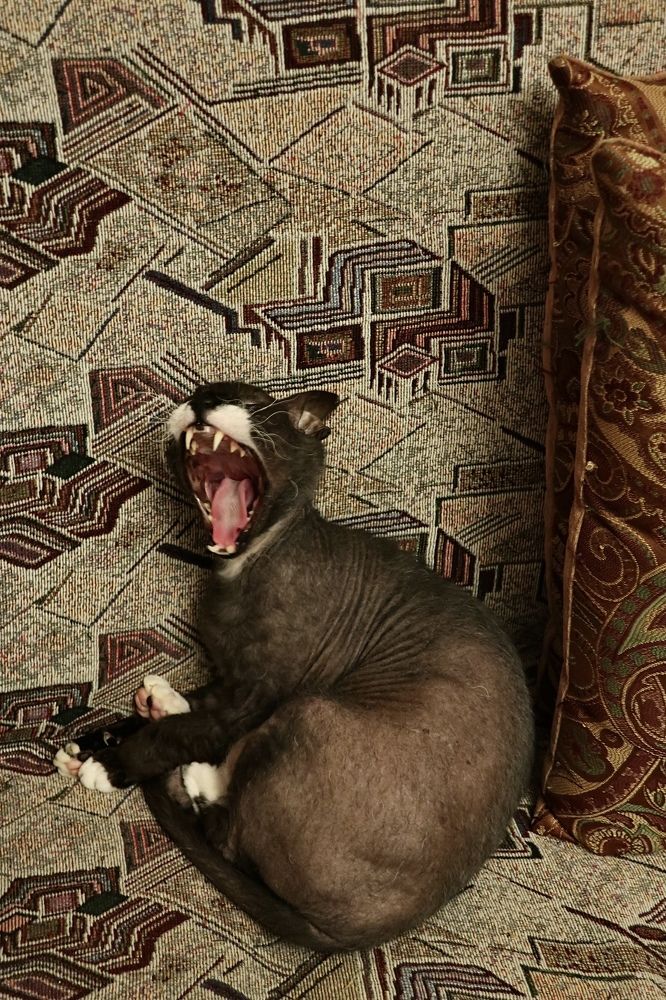 Photograph by Надежда