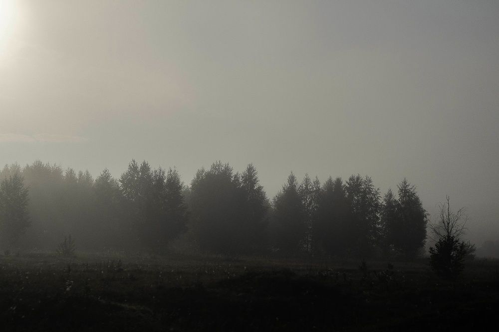 Фотография автора Александр Крапачев