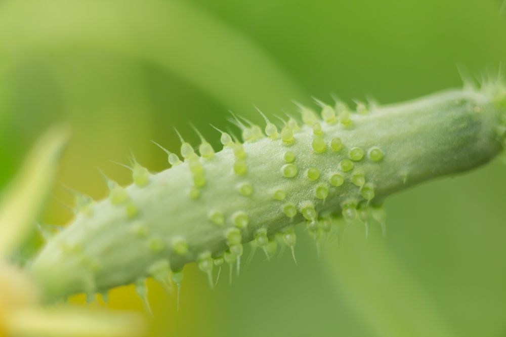 Photograph by Андрей Сафонов