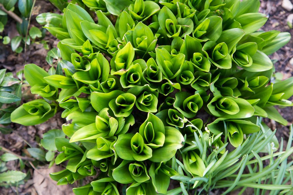 Photograph by Андрей Сафонов