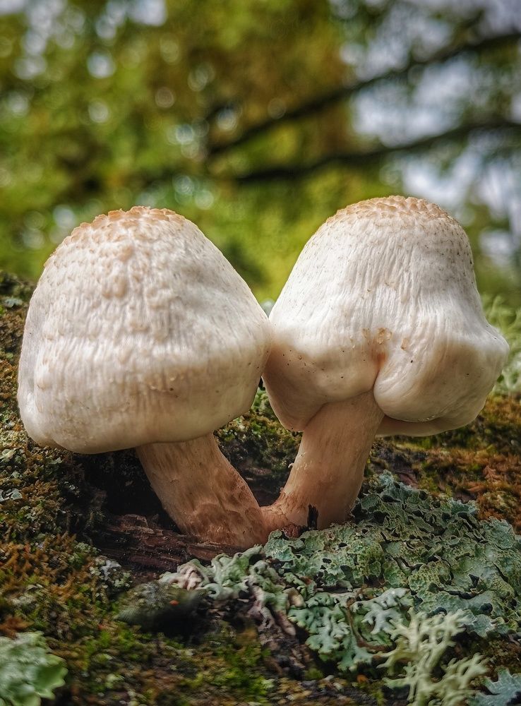 Photograph by Leanid Kulpo