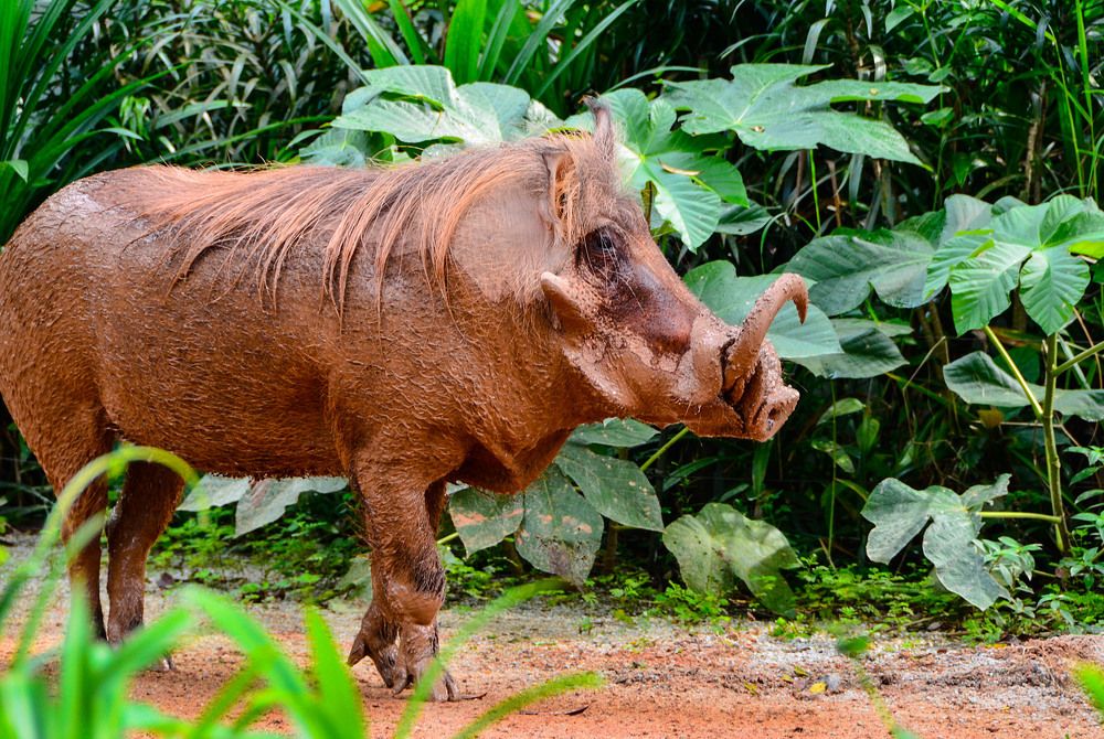 Photograph by Леонид Дрюченко