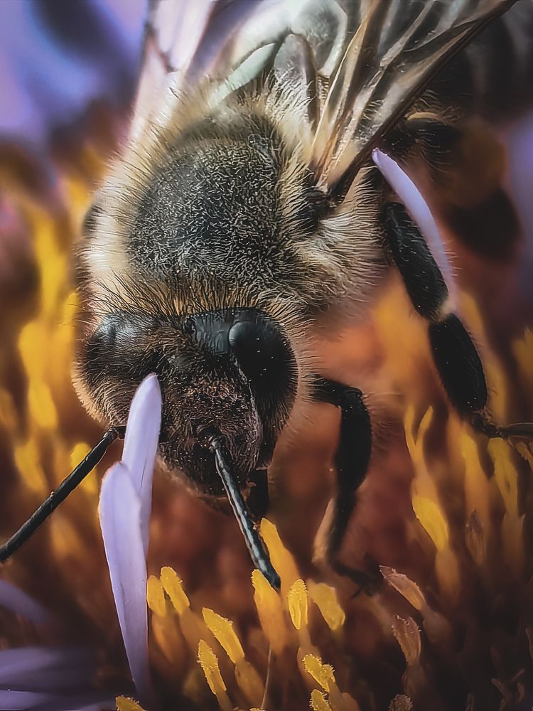 Фотография автора Юра Кладухин