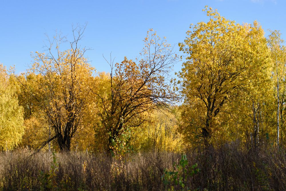 Photograph by Мария Конюхова