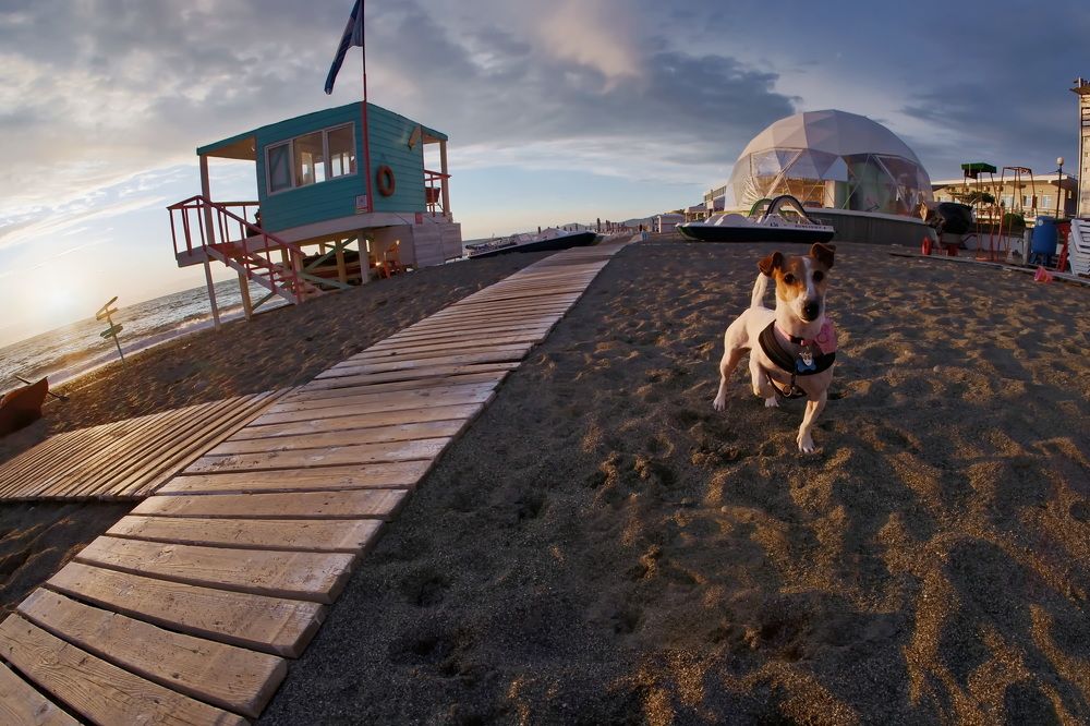 Фотография автора Юрий Кольцов