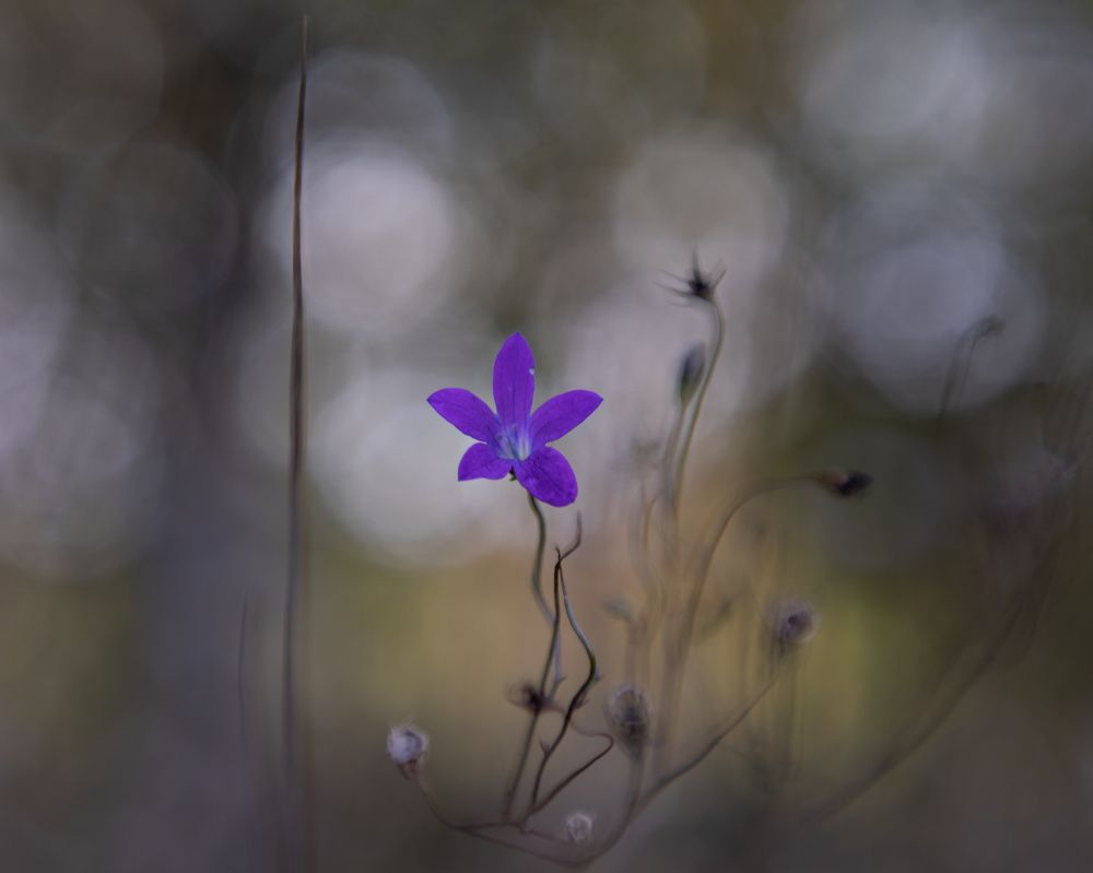 Photograph by Виктория Сид