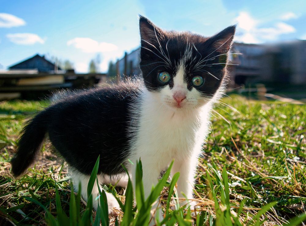 Прогулка на дворе.