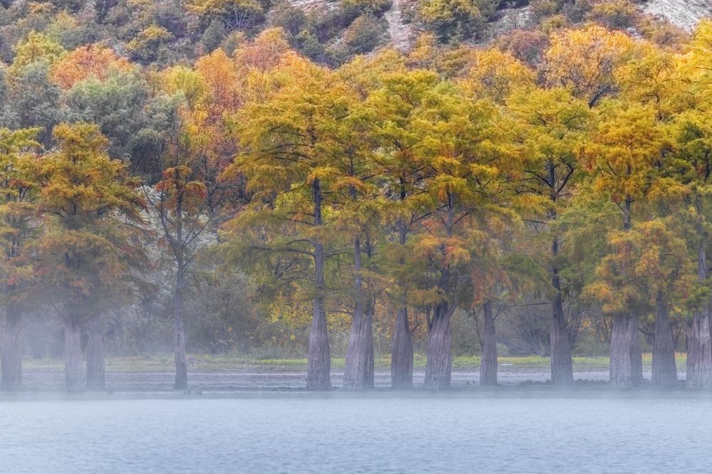 Утро на кипарисовом озере