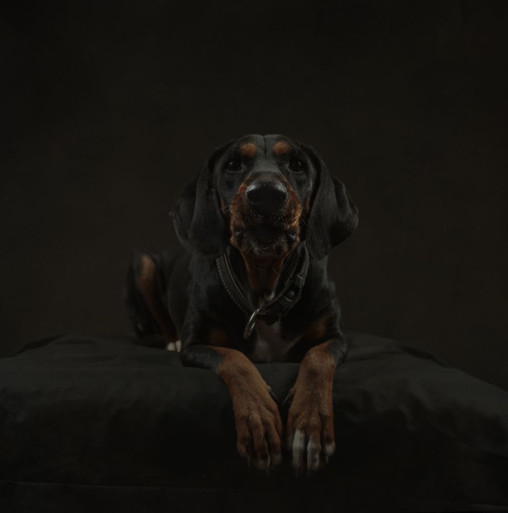 Photograph by Taтьяна Войлокова