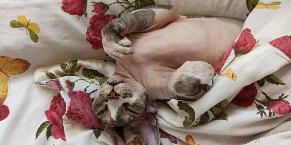 Photograph by Асят Кокаева