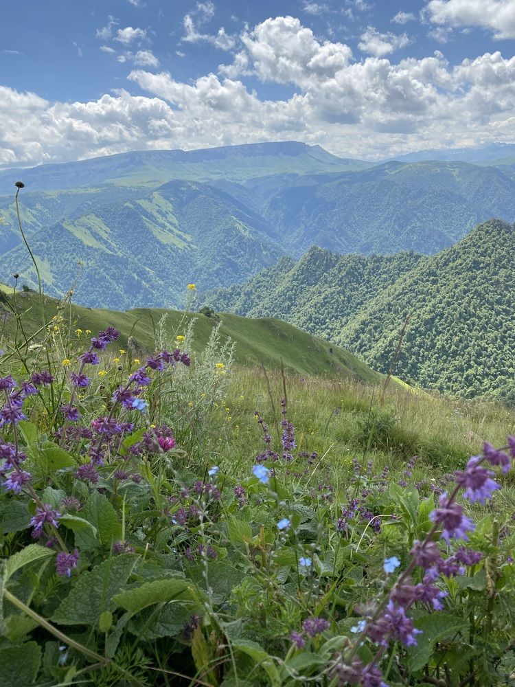 Photograph by Гузэль