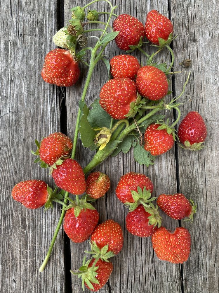 Photograph by Гузэль