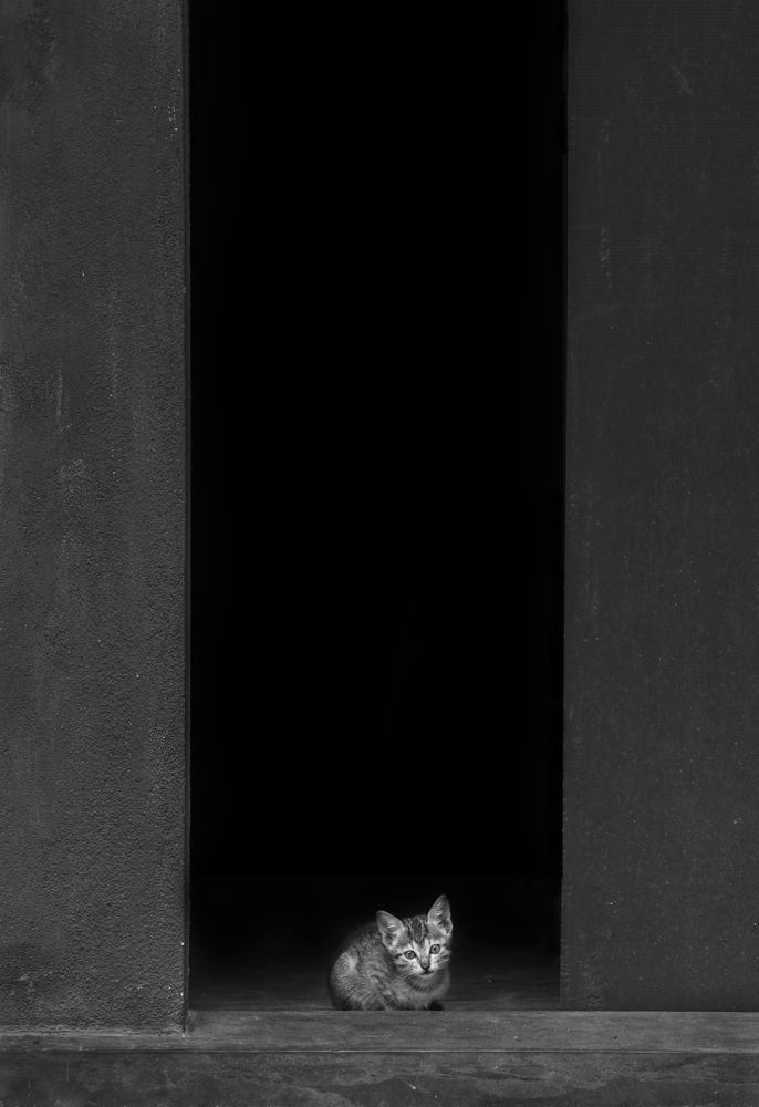 Photograph by Laddu Sasindu Pramuditha De Silva