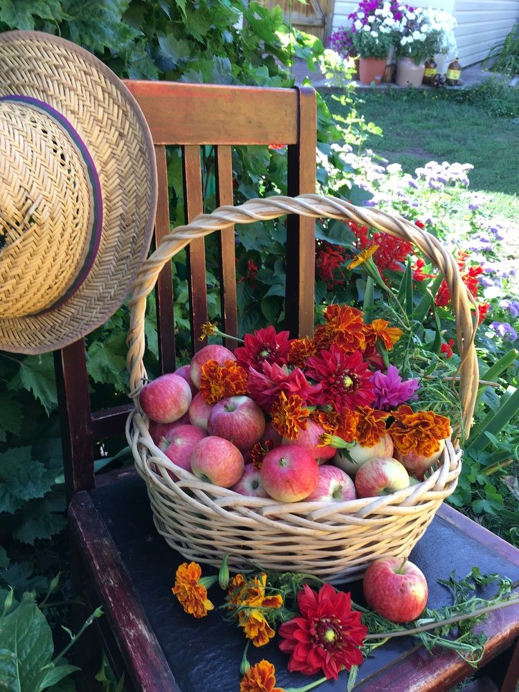 Photograph by Гузэль