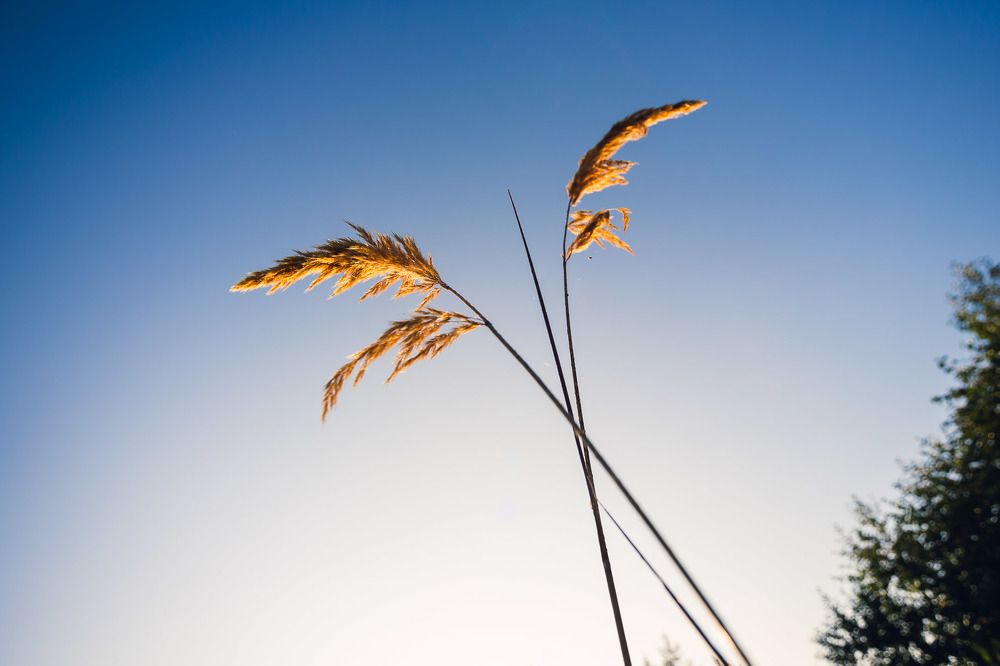 Photograph by Сергей Фадин