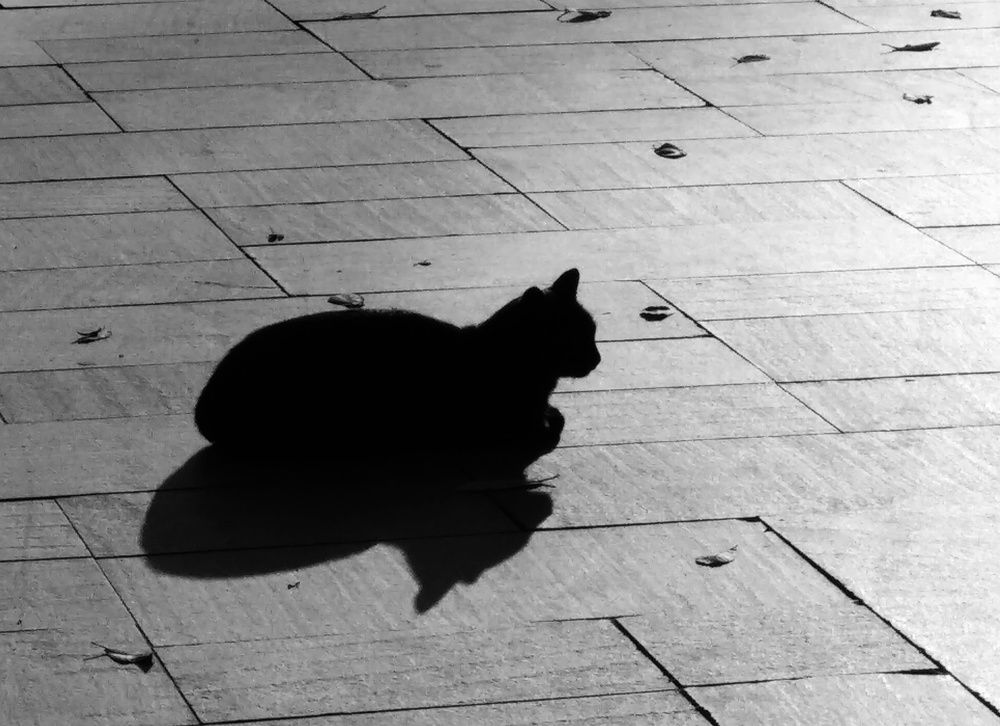 Photograph by Наталья Трофимова