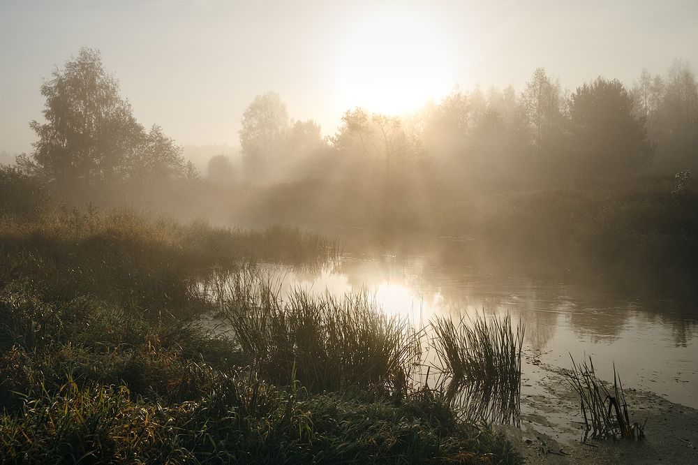 Photograph by Kaiser Sozo