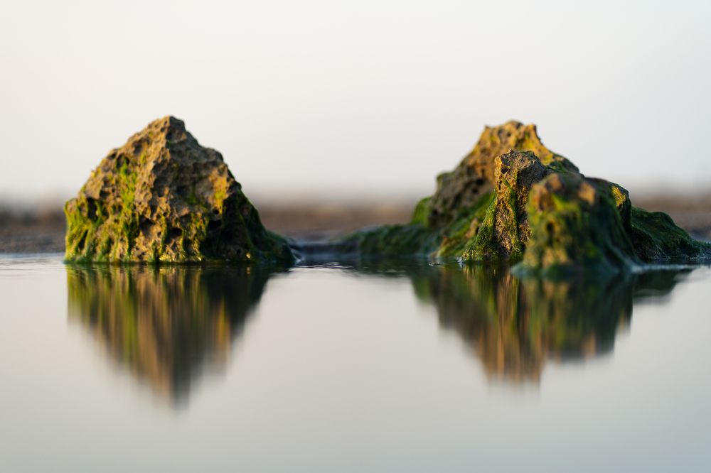 Photograph by Shaikh Abrar