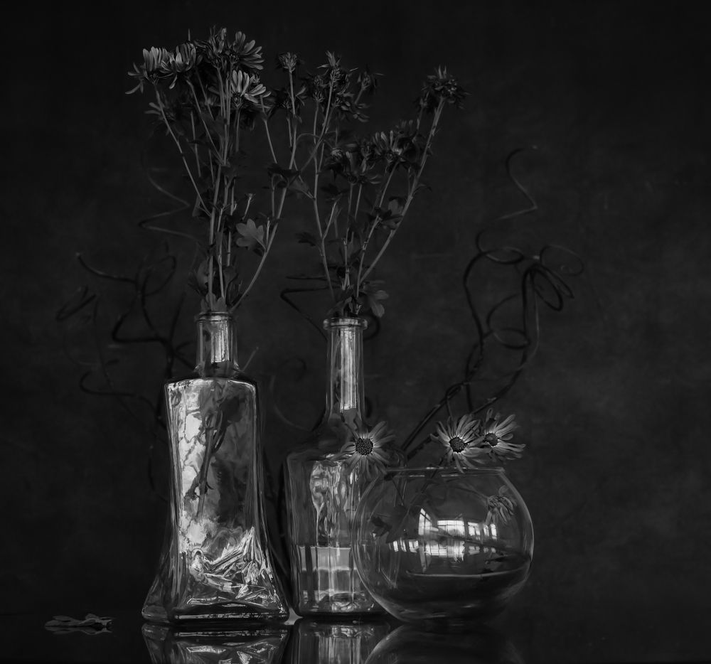 Photograph by Елена Куртеева