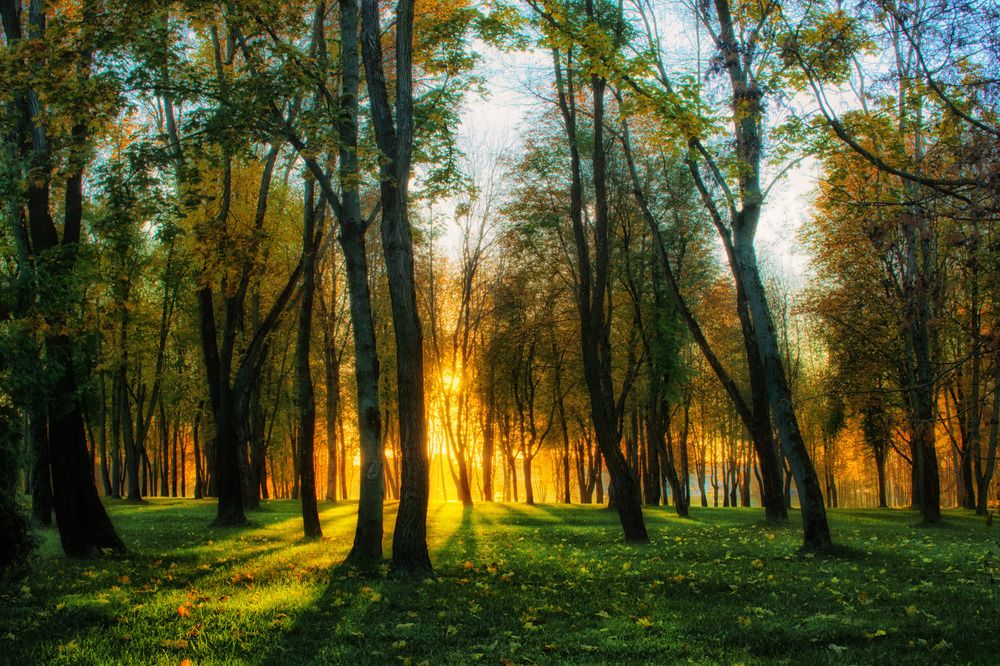 Фотография автора Юлия Кранина