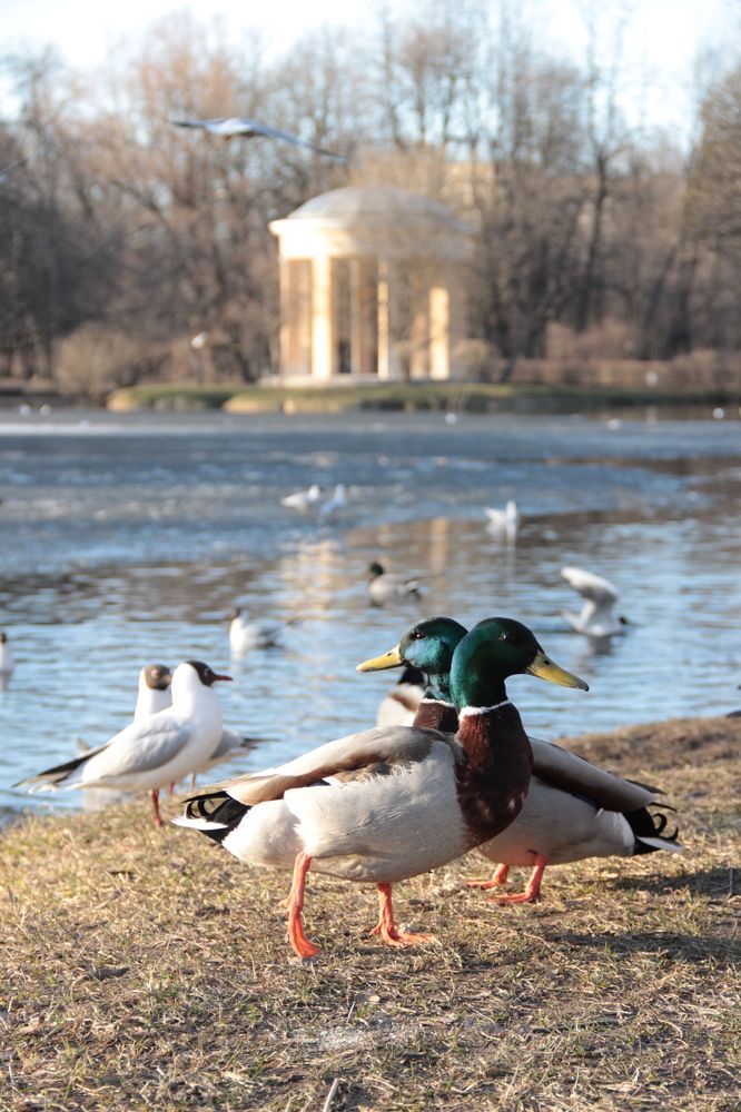 Photograph by Анна Марковская