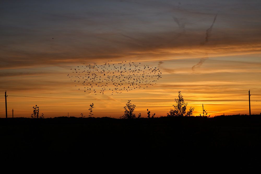 Photograph by Дмитрий Солодухин