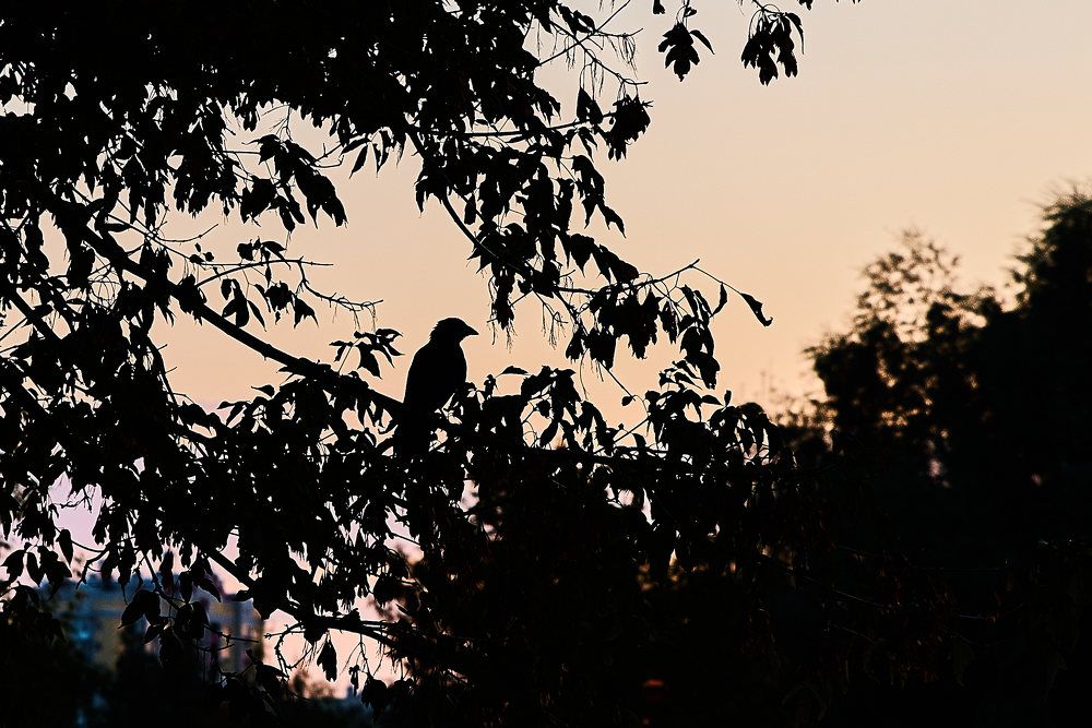 Photograph by Дмитрий Солодухин