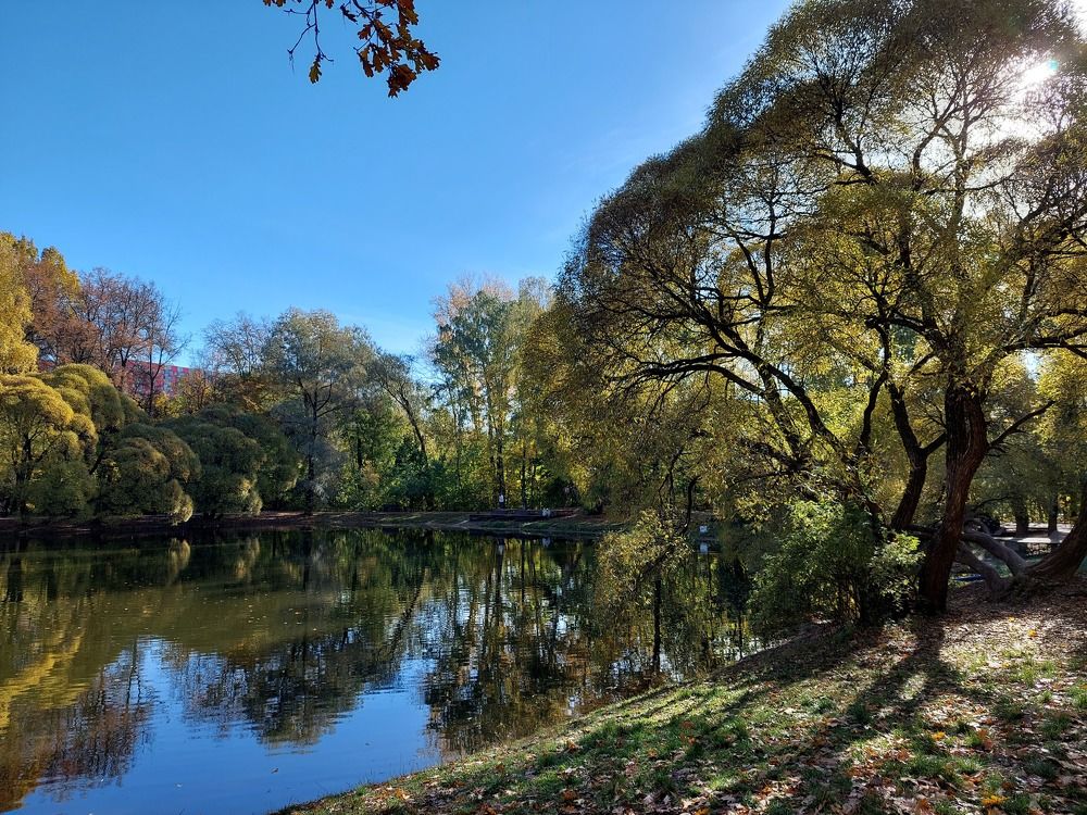 Photograph by Елена Тимченко