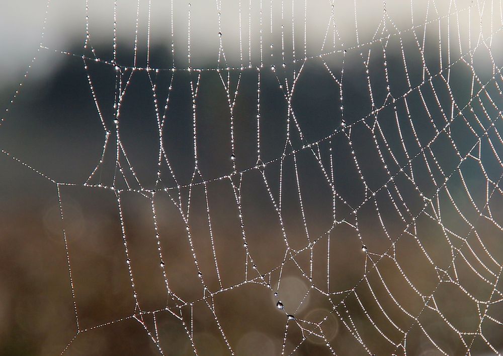 Хрустальные кружева