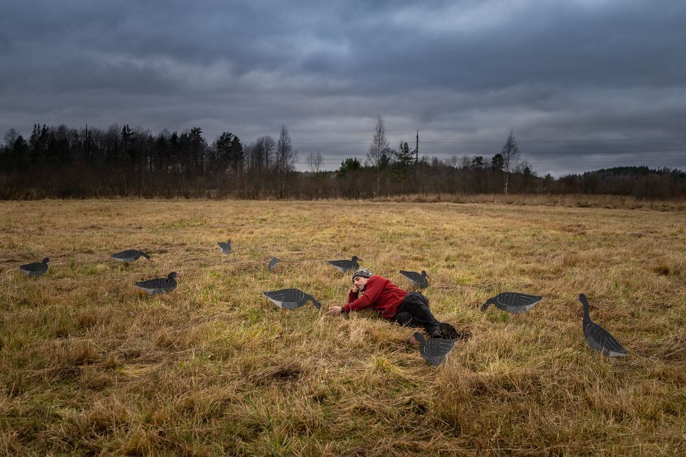 Photograph by Татьяна Тарасова