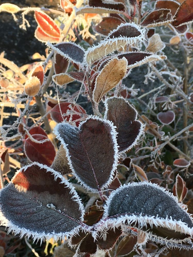 Photograph by Гузэль