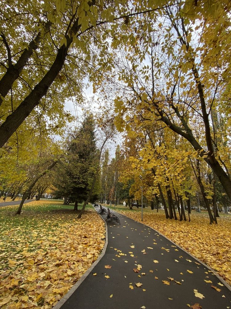 Photograph by Гузэль