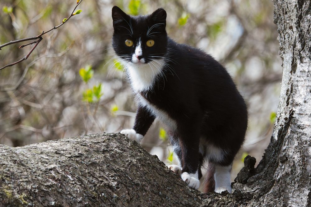 Photograph by Janis Serdienis