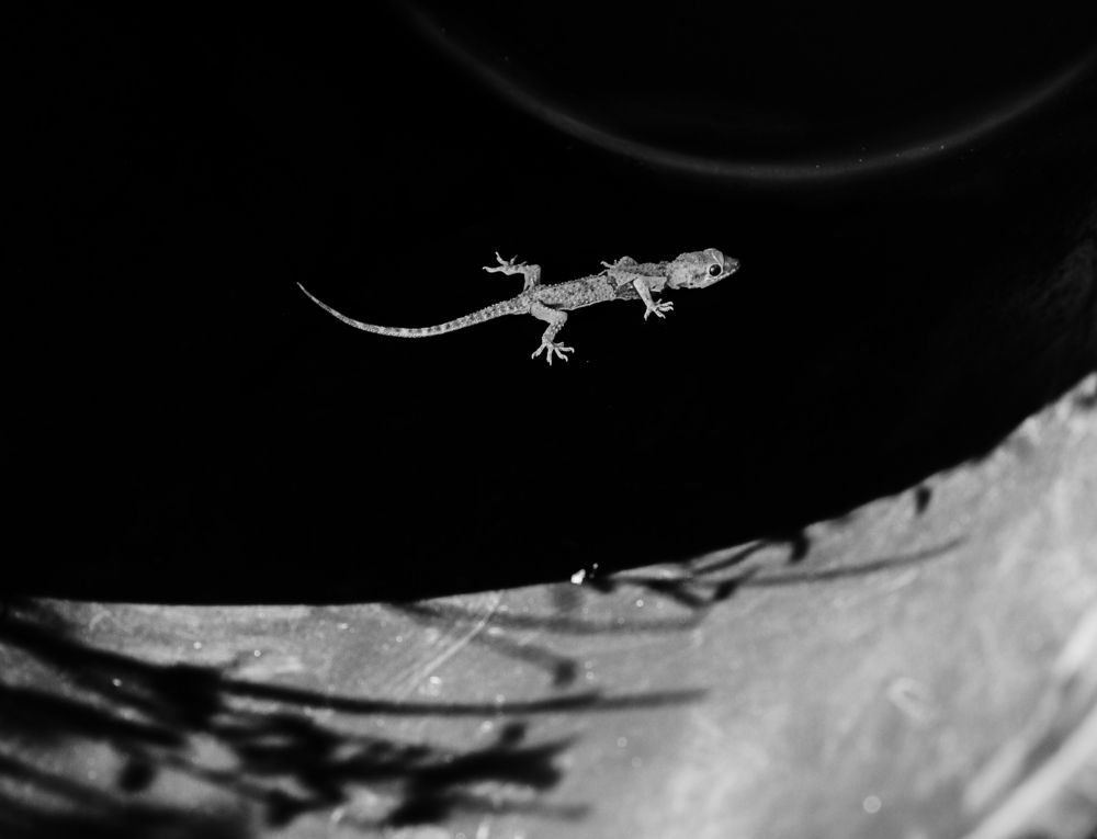 Photograph by Taтьяна Войлокова