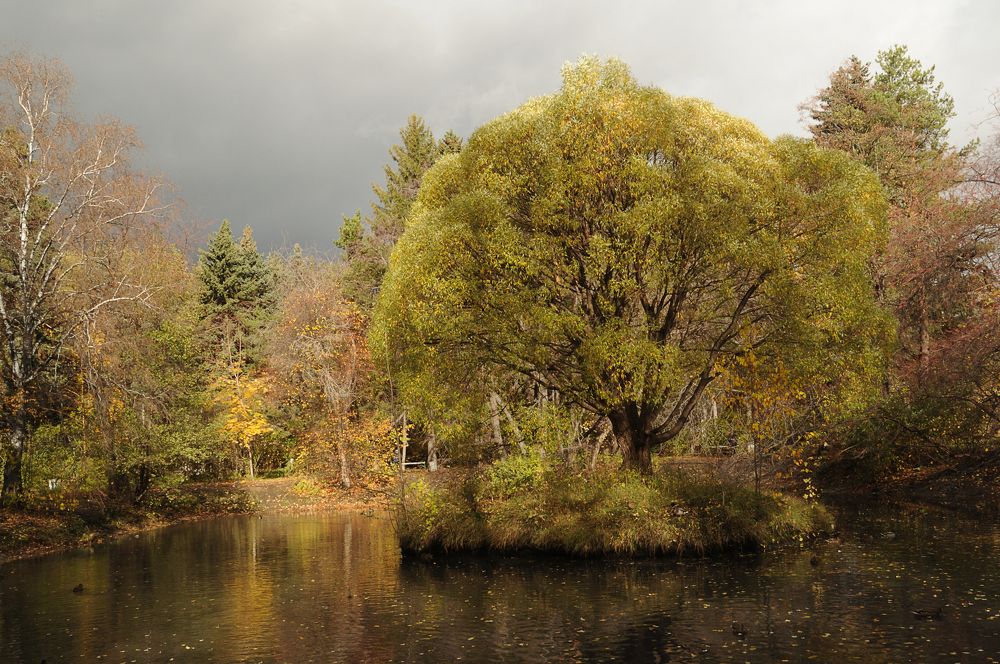 Photograph by Сергей Рябов