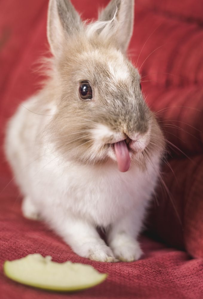 Photograph by Patryk George