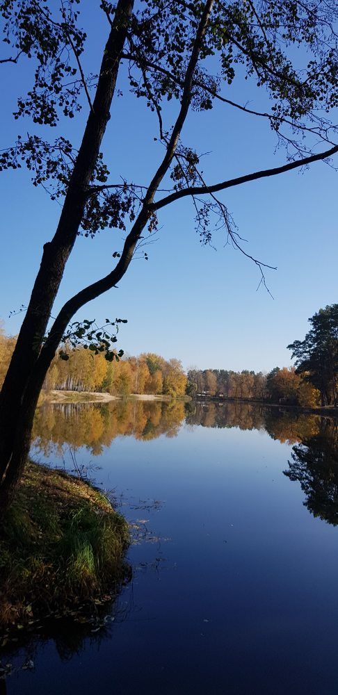 Фотография автора Ирина Зиник