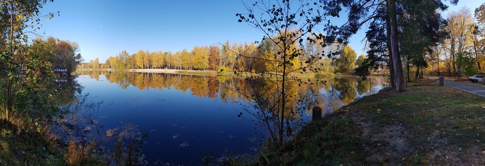 Фотография автора Ирина Зиник