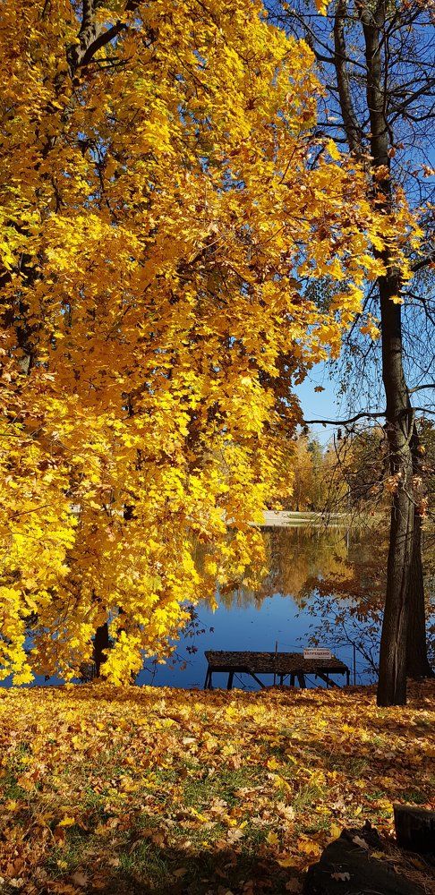 Фотография автора Ирина Зиник